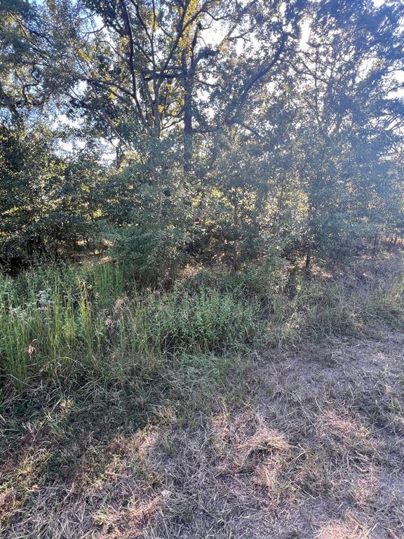 Point La Vista - Land