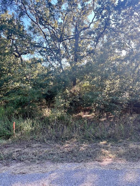 Point La Vista - Land