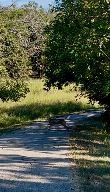 Point La Vista - Land