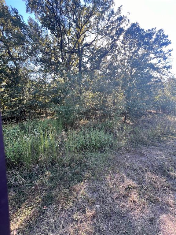 Point La Vista - Land