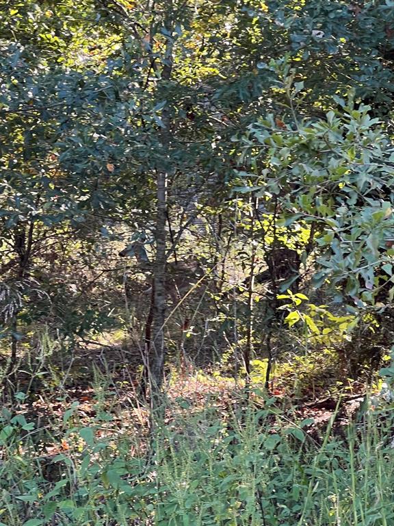 Point La Vista - Land