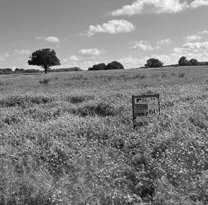 Lot 60 Buffalo Lane