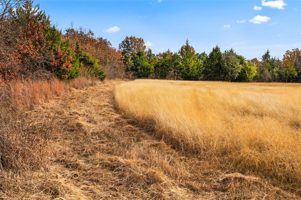 James R Durham Surv A-206 - Land