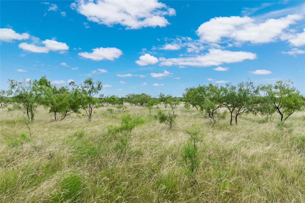 6000 Lot 1 Fm 586 S