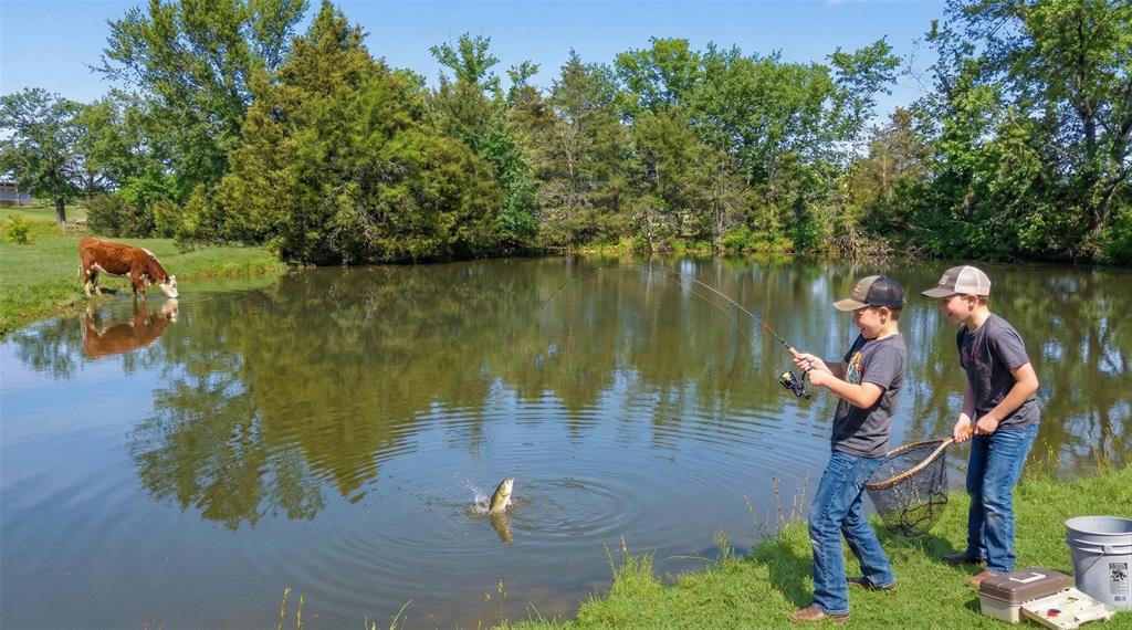 STEWART HENRY - Residential