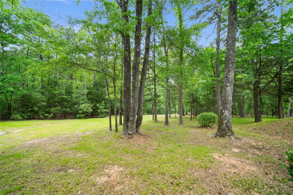 MCNEALY, JESSIE - Residential