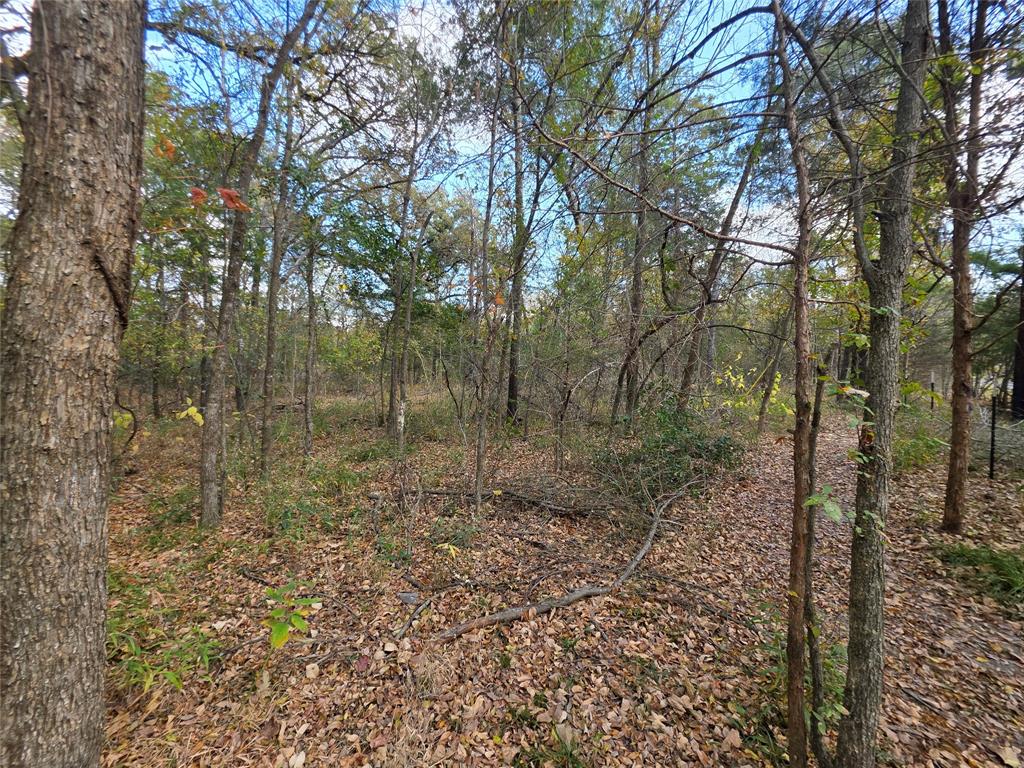 Rease price Survey - Land