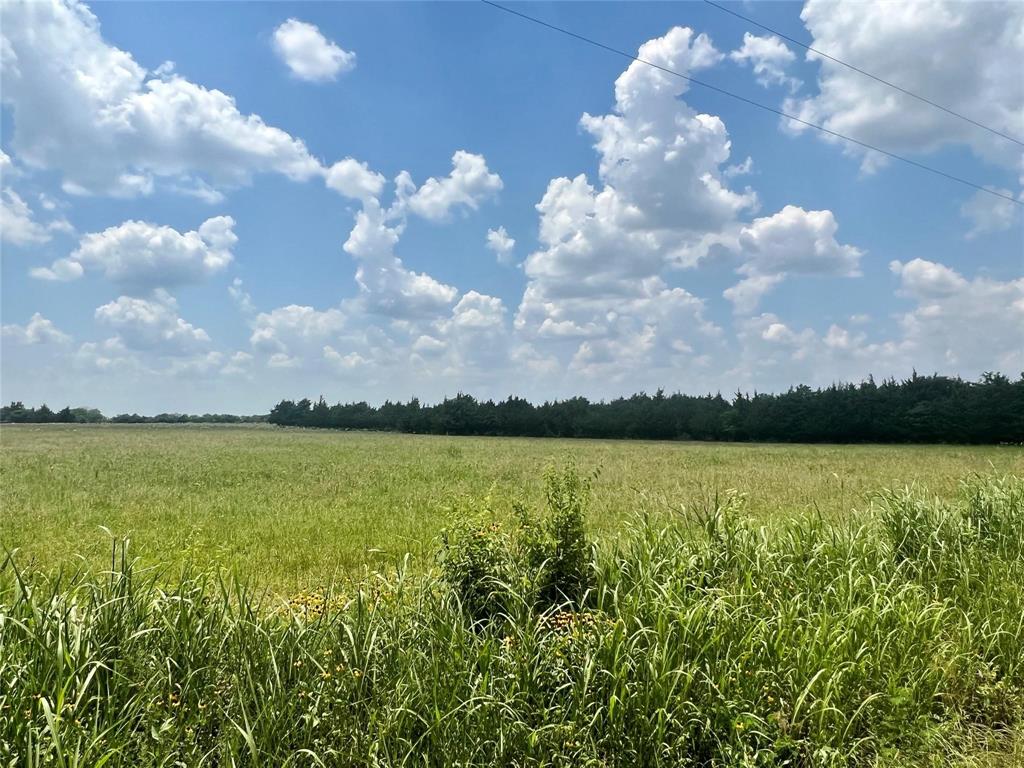 3442 COUNTY ROAD 15100