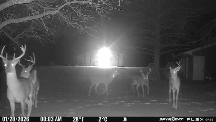 L Lithecum - Residential