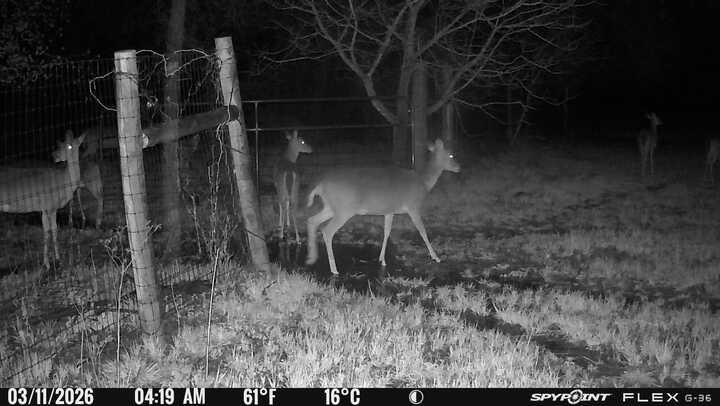 L Lithecum - Residential