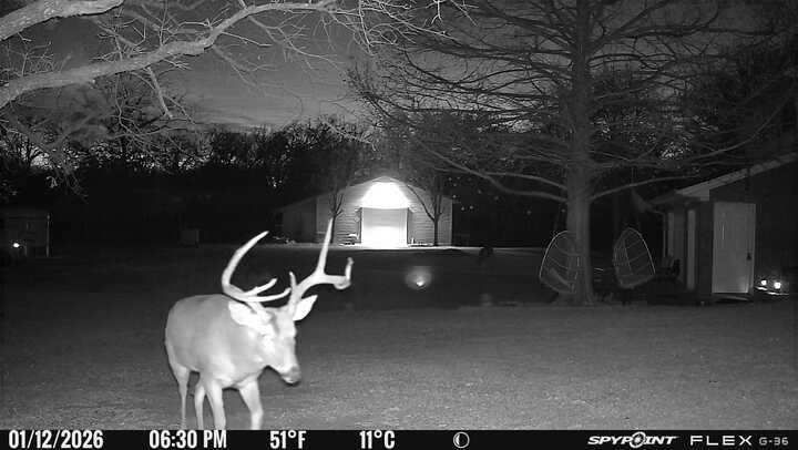 L Lithecum - Residential