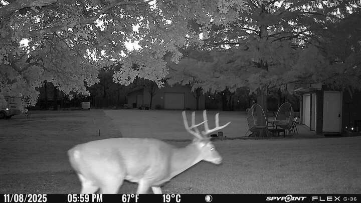 L Lithecum - Residential