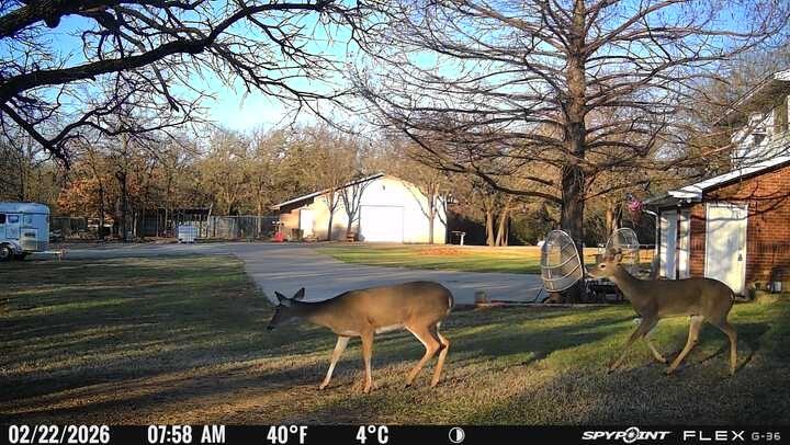 L Lithecum - Residential