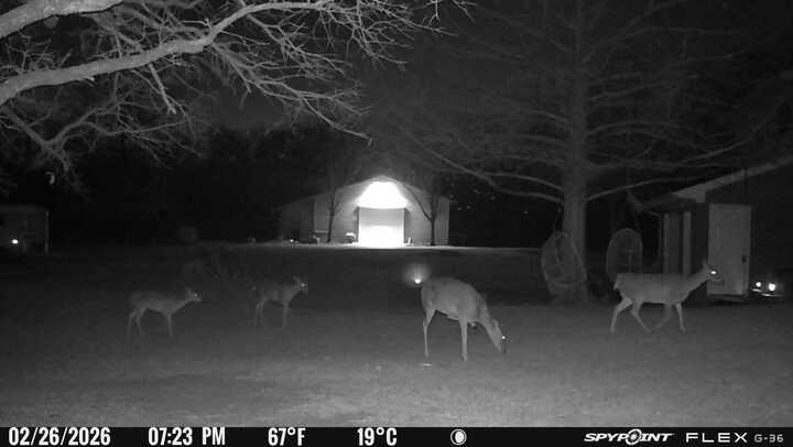 L Lithecum - Residential