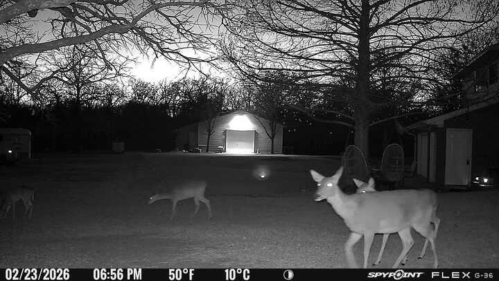 L Lithecum - Residential