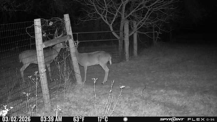 L Lithecum - Residential