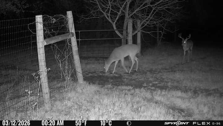 L Lithecum - Residential