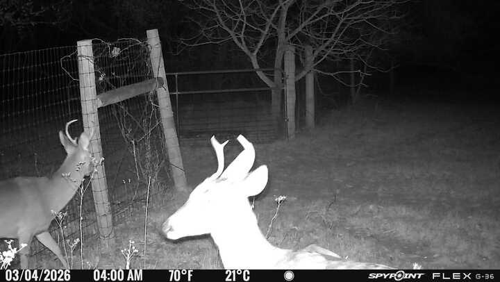 L Lithecum - Residential