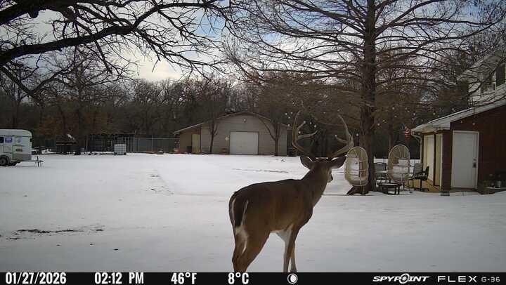 L Lithecum - Residential