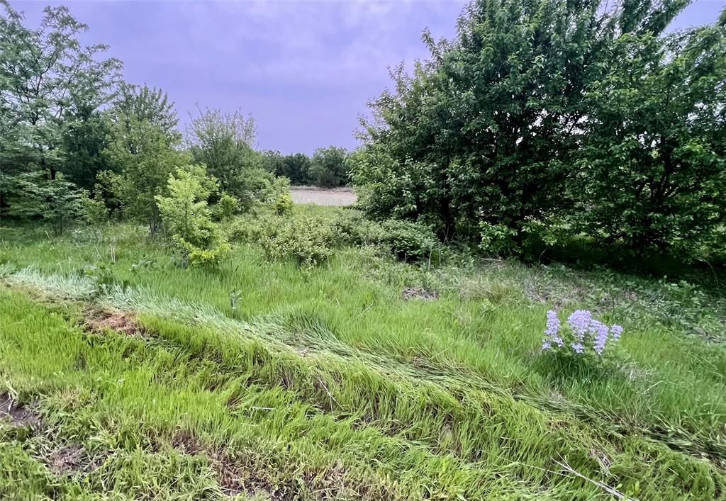 Indian Hills Estates - Land