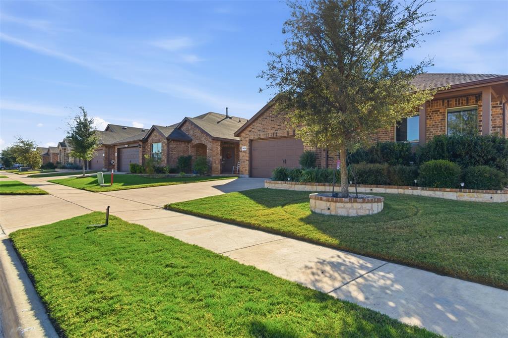 4829 Feltleaf Avenue