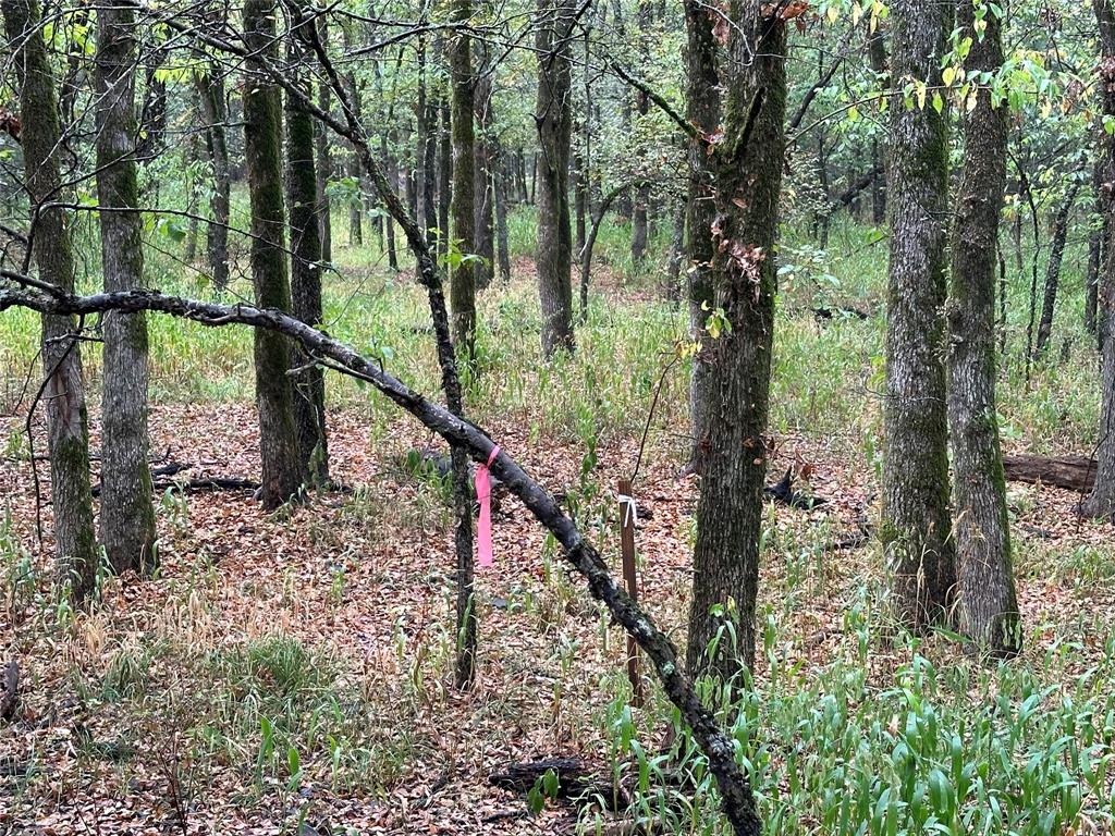 John Onstot Sur A 801 - Land