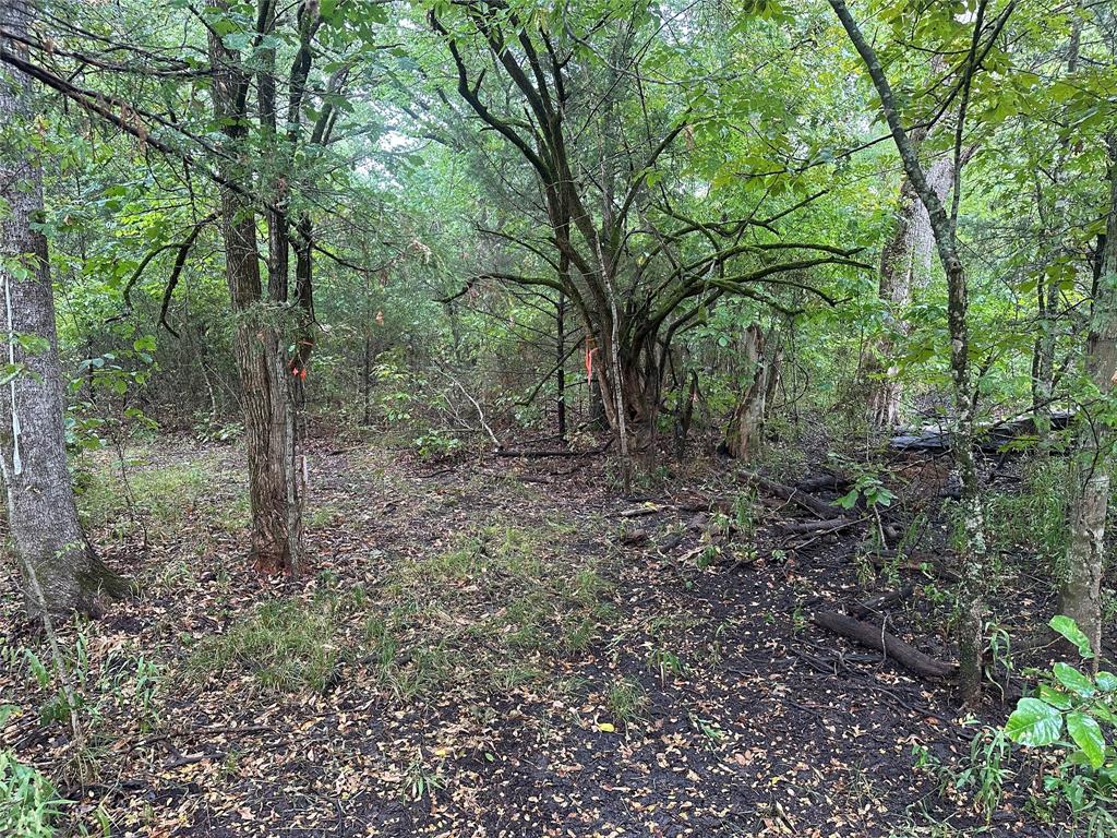 John Onstot Sur A 801 - Land