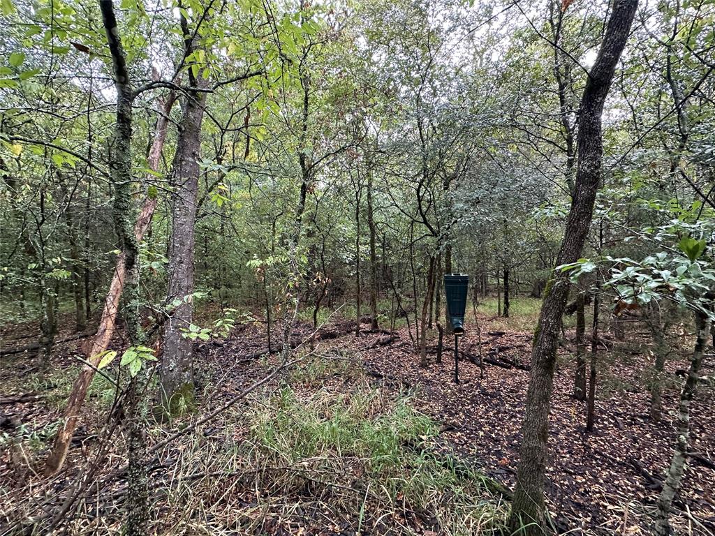 John Onstot Sur A 801 - Land