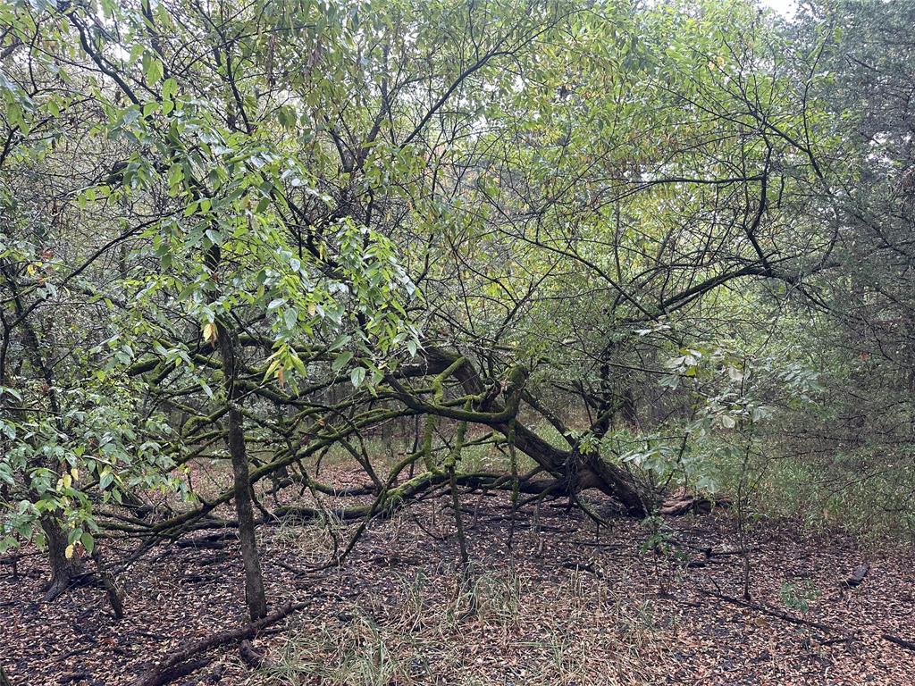 John Onstot Sur A 801 - Land