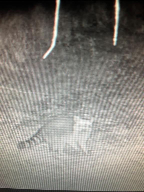 John Onstot Sur A 801 - Land