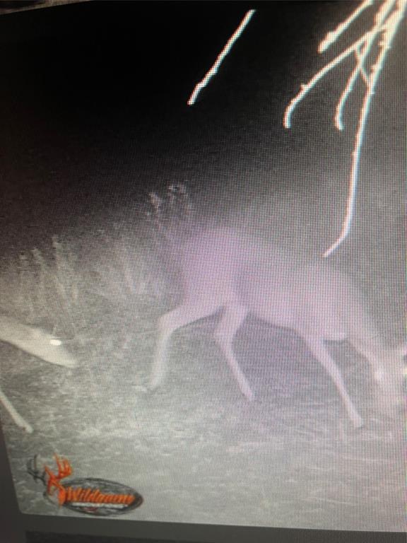 John Onstot Sur A 801 - Land