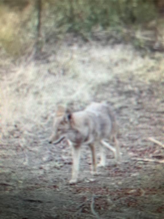 John Onstot Sur A 801 - Land