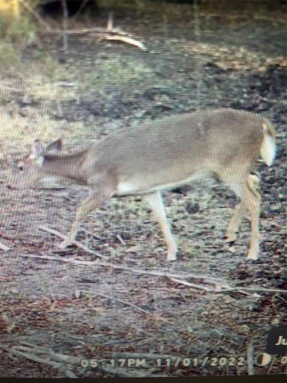 John Onstot Sur A 801 - Land