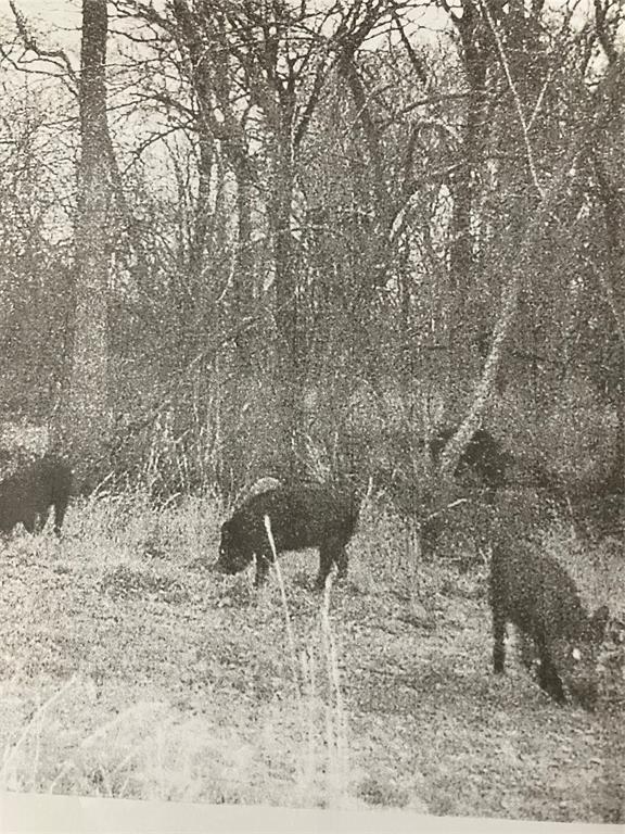 John Onstot Sur A 801 - Land