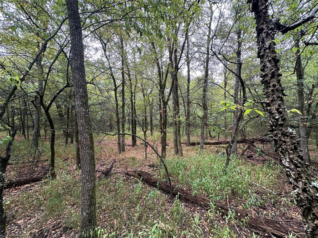 John Onstot Sur A 801 - Land