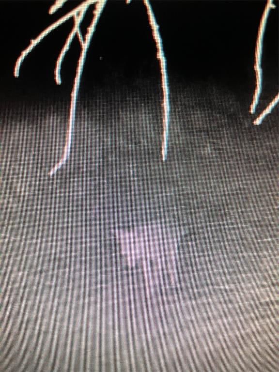 John Onstot Sur A 801 - Land