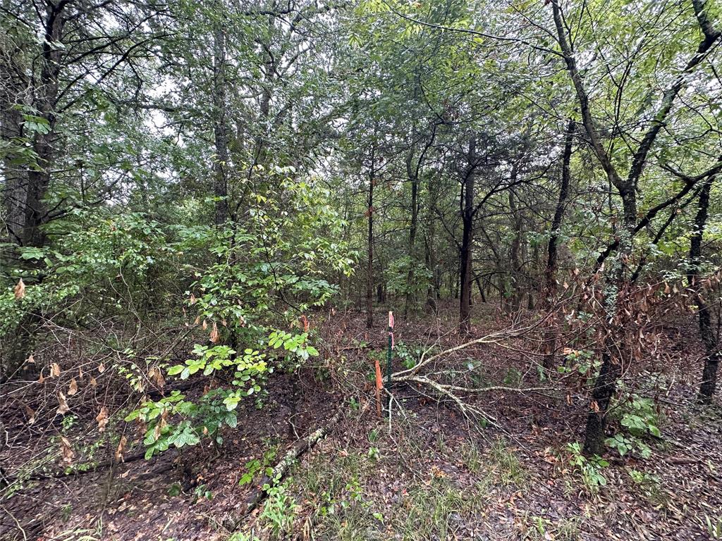 John Onstot Sur A 801 - Land