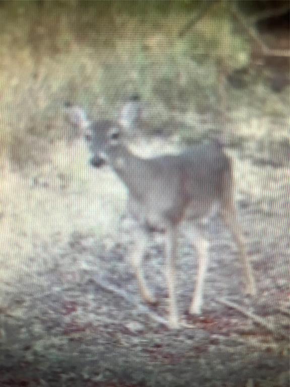 John Onstot Sur A 801 - Land
