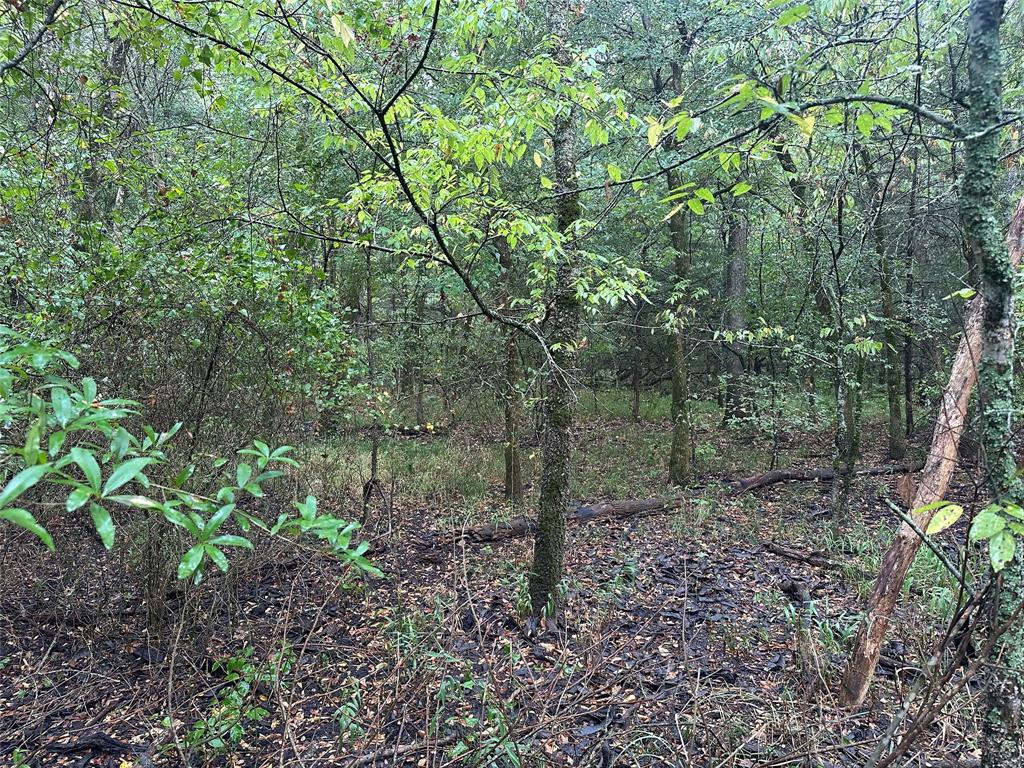 John Onstot Sur A 801 - Land