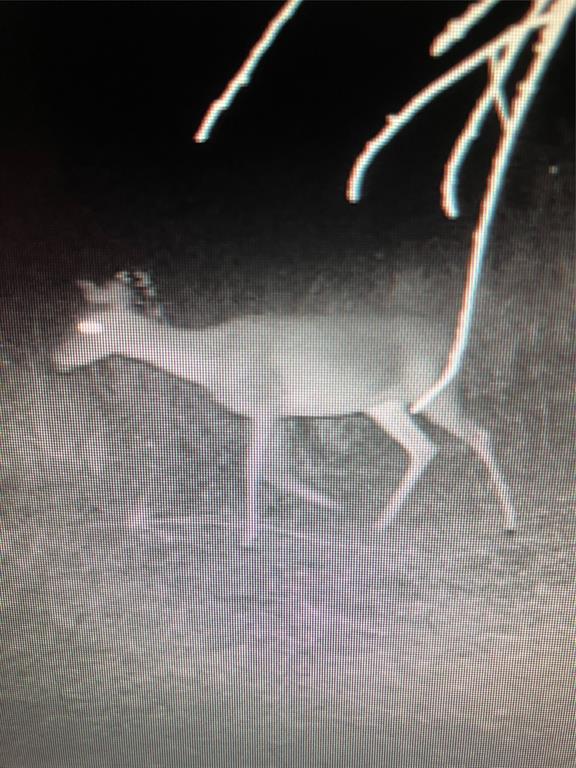 John Onstot Sur A 801 - Land