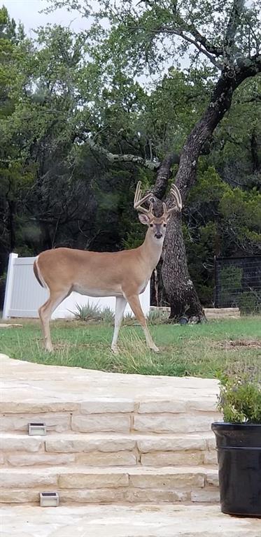 Falcon Ridge Estates - Land