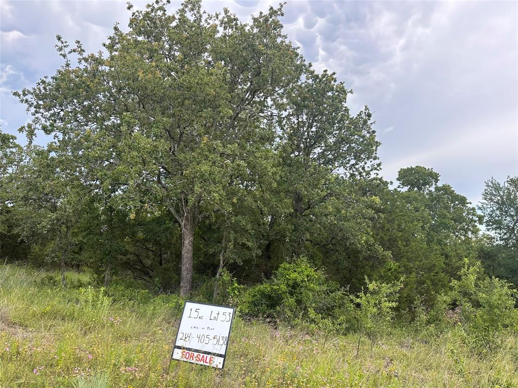 Falcon Ridge Estates - Land