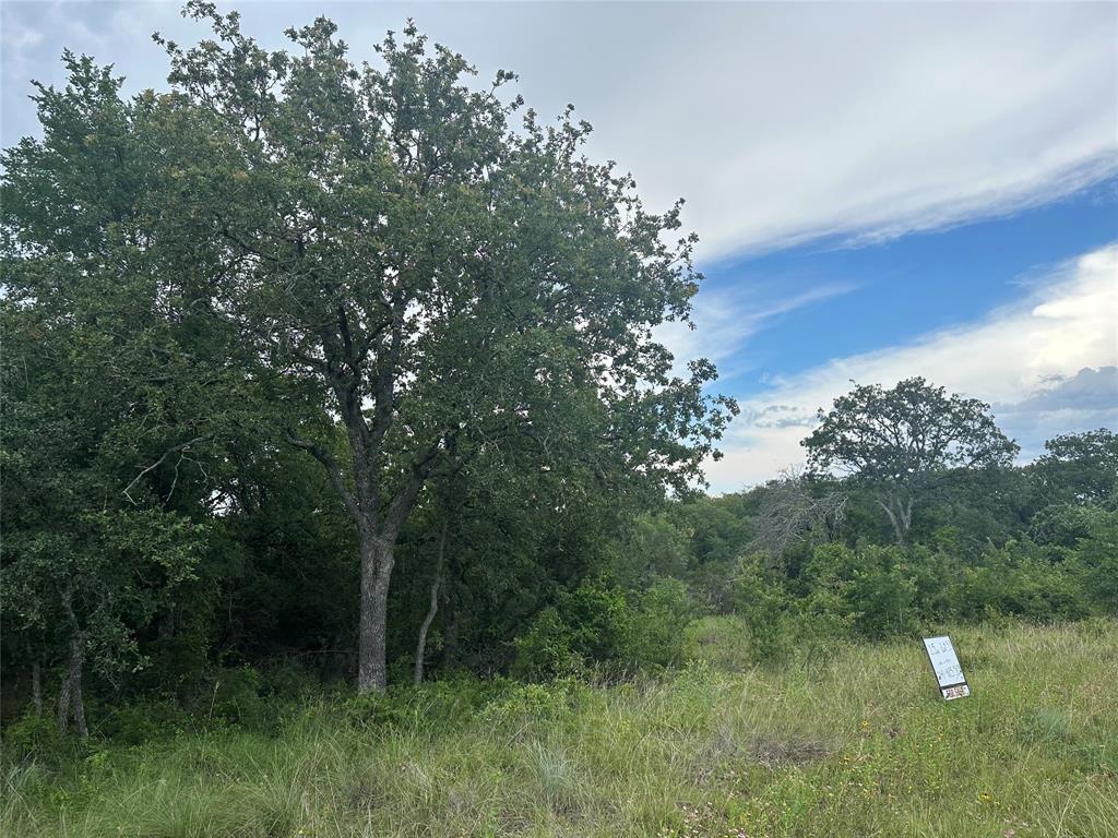 Falcon Ridge Estates - Land