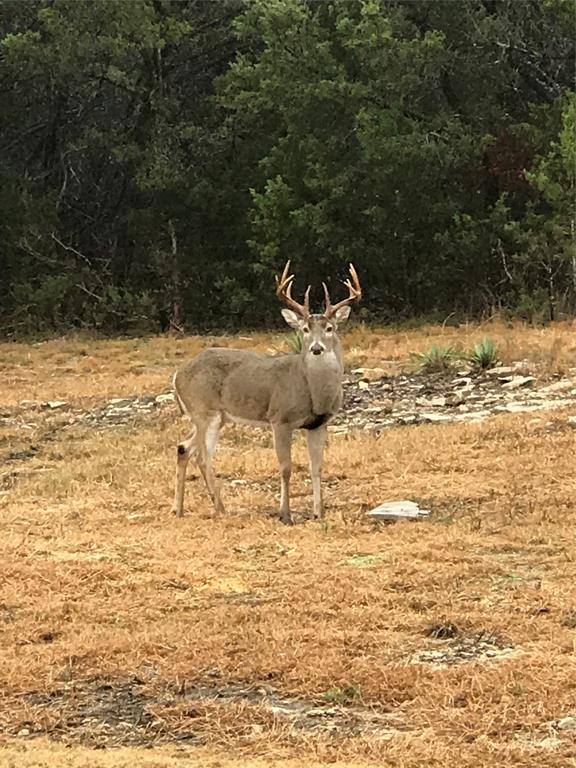 Falcon Ridge Estates - Land