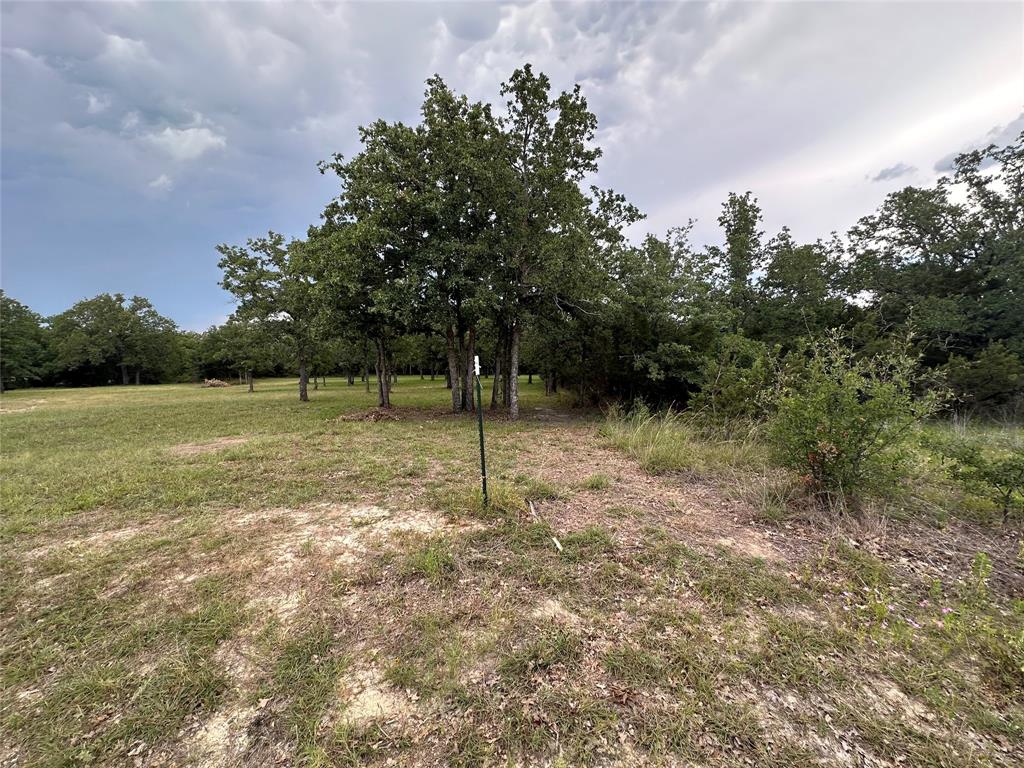 Falcon Ridge Estates - Land