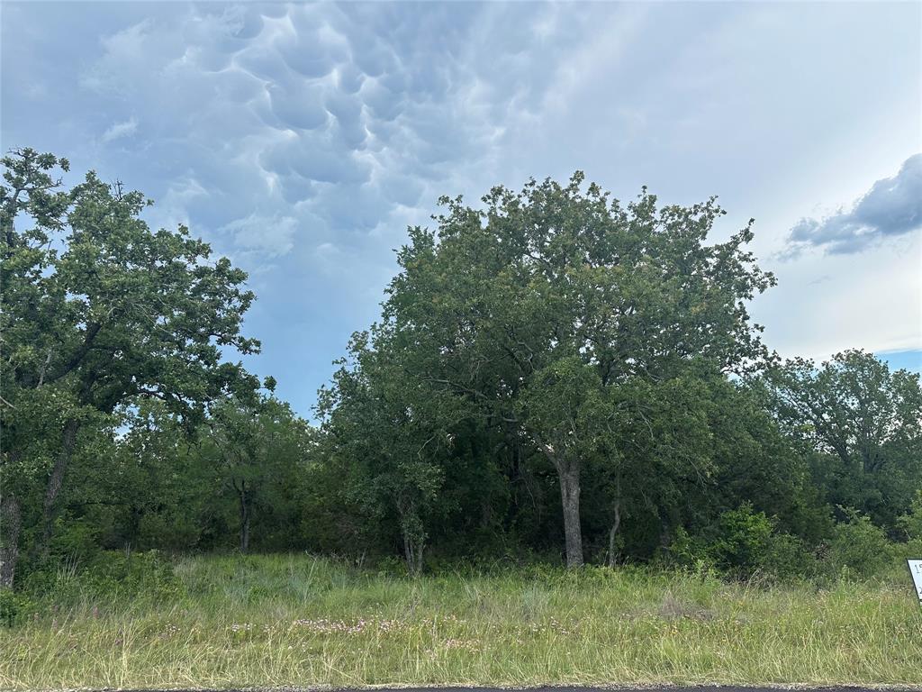 Falcon Ridge Estates - Land