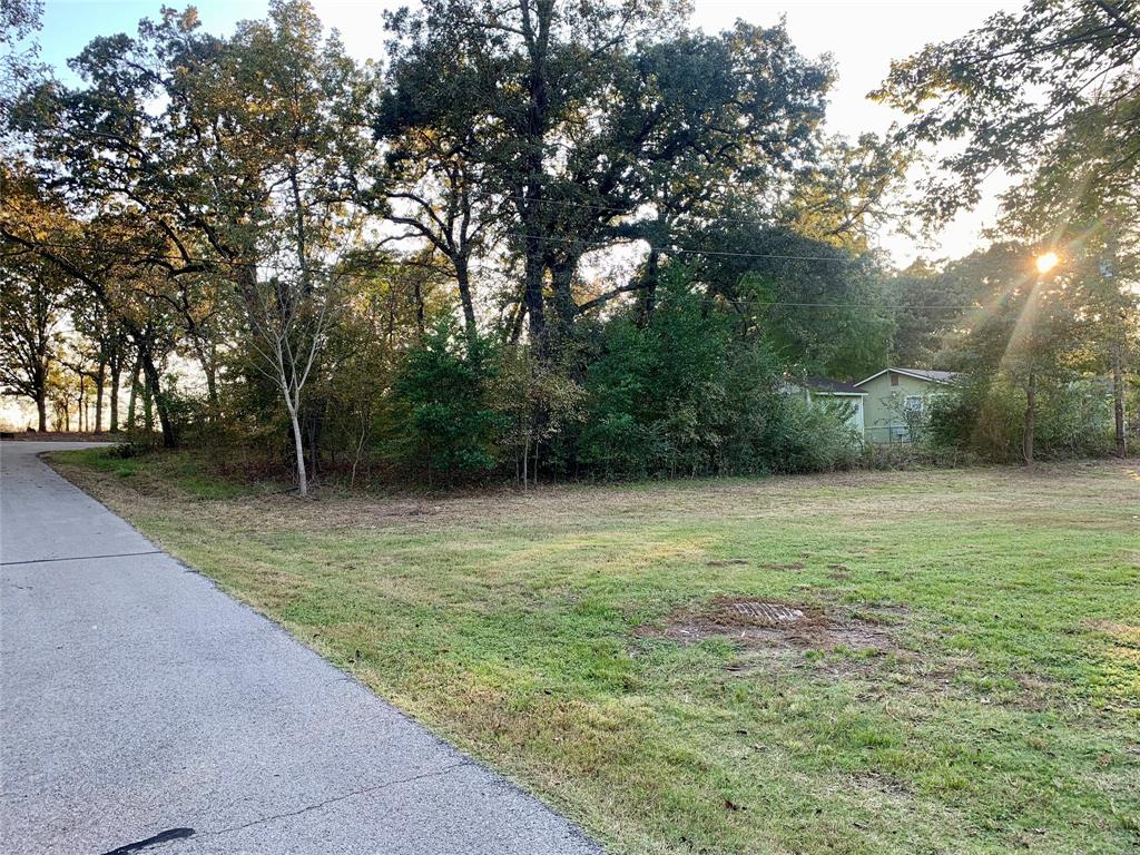 00 Leaning Oak Drive