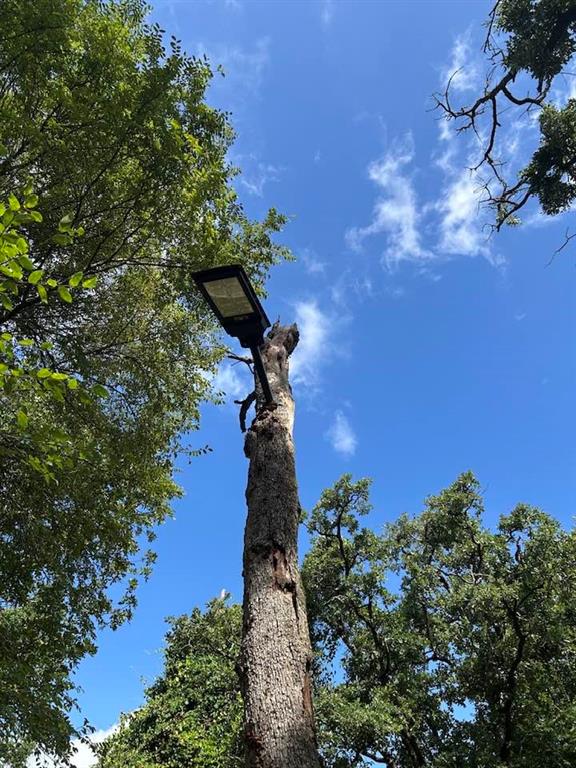 Westwood - Residential