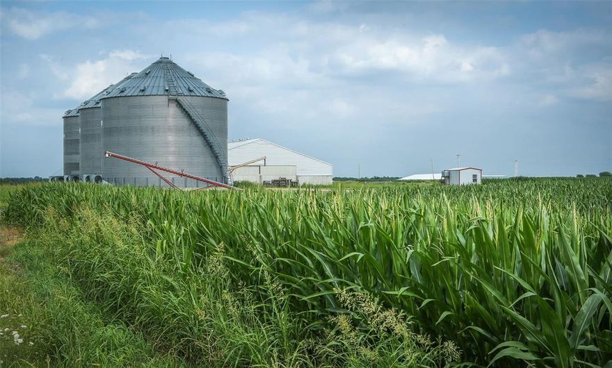 2115+- acre farm located in Lamar, County near Paris, Texas.  Highly productive and intensely managed, the farm boasts 770+ acres of irrigated farmland, grain storage, farm facilities and plenty of highway access.   

FACTS
- (+-)2125 acres total
- Currently owner-operated
- 1.45 miles of FM frontage and 5.5 miles of County Road frontage
- 12.5 miles from downtown Paris, Texas

IMPROVEMENTS
- 3,598 square foot home
- 1,008 square foot secondary home
- 1,456 square foot double wide
- (4) Irrigation Pivots (770+ acres irrigated)
- (3) Irrigation pumps with diesel motors
- (1) generator
- (1) Irrigation pier
- 7787' of  underground pipeline
- (3) irrigation reservoirs totaling 94+ acres of surface water
-Grain Storage:
*(2) 8000 bushel bins
*(3) 50000 bushel bins with fans
*(1) 25,000 Square Foot flat grain warehouse with fans (can handle commodities as well, +- 350,000 bushel capacity)
*(2) 1000 bushel overhead bins
- 60x110 Shop + Equipment Storage
- 200x40 shop with office and lean to
Cattle Facilities
*4,000 square foot shed
*5,900 square foot hay shed
*1,200 square foot shed
*Pipe corrals
CURRENT AND FUTURE USES
- Currently used for crop production, crops include: corn, cotton, milo, wheat and soybeans
- Future use could include crop production, cow and calf, yearling or industrial site (large water main on FM Highway frontage)

WILDLIFE
-Farm is located in large flyway, coupled with crops and water resources make for exceptional waterfowl hunting.  Also farm has superior deer hunting for the area.  Wildlife for the area include: Whitetail deer, waterfowl, Dove and hog.