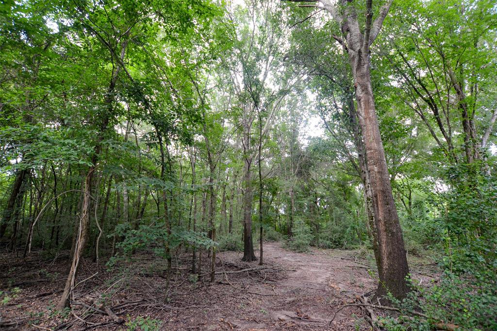 8690 County Road 1119